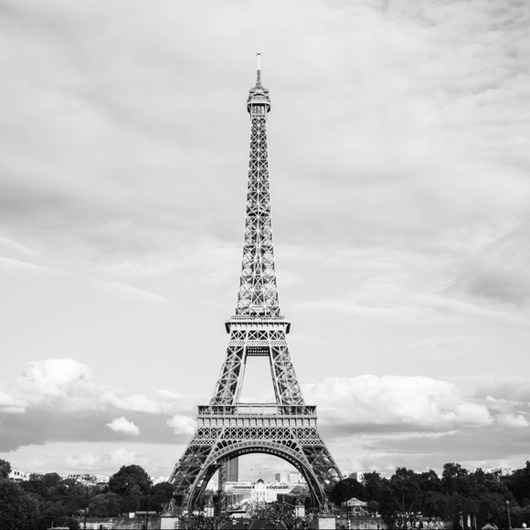 Meet your Posher, Camille - Picture 1 of 1